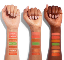 Load image into Gallery viewer, 35O3 FIERCE BY NATURE ARTISTRY PALETTE