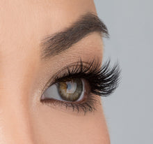 Load image into Gallery viewer, ICONIC LITE
